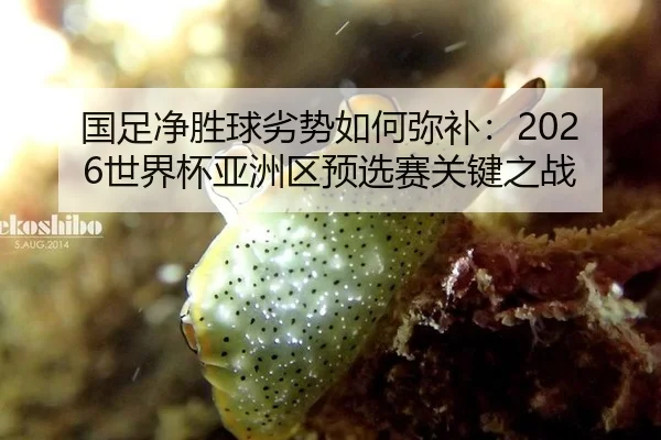 guo-zu-jing-sheng-qiu-lie-shi-ru-he-mi-bu-shi-jie-bei-ya-zhou-qu-yu-xuan-sai-guan-jian-zhi-zhan-2-115.jpg