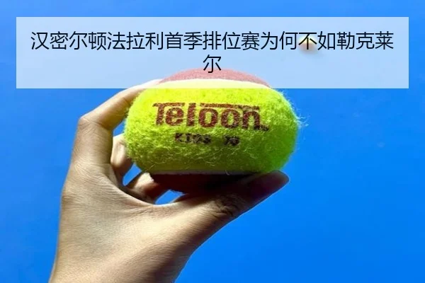 han-mi-er-dun-fa-la-li-shou-ji-pai-wei-sai-wei-he-bu-ru-lei-ke-lai-er-3-486.jpg