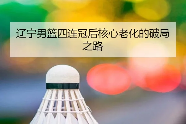 liao-ning-nan-lan-si-lian-guan-hou-he-xin-lao-hua-de-po-ju-zhi-lu-3-113.jpg